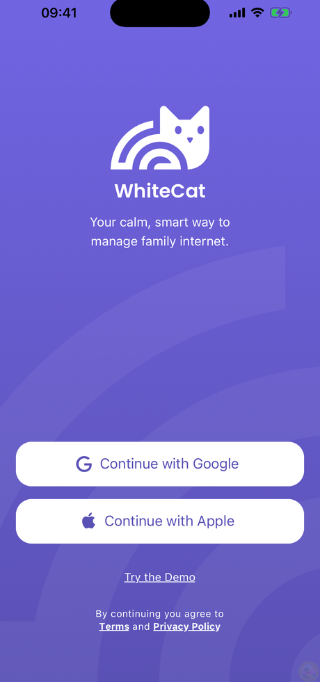 L'&eacute;cran d'accueil — connexion avec Google ou Apple